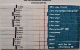 На 8 день после переноса эмбрионов тест отрицательный