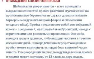 За сколько дней до родов отходит пробка при третьей беременности