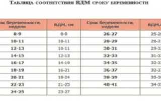 Размеры матки при беременности по неделям таблица