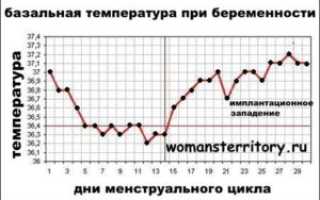 Какая температура во влагалище при беременности?
